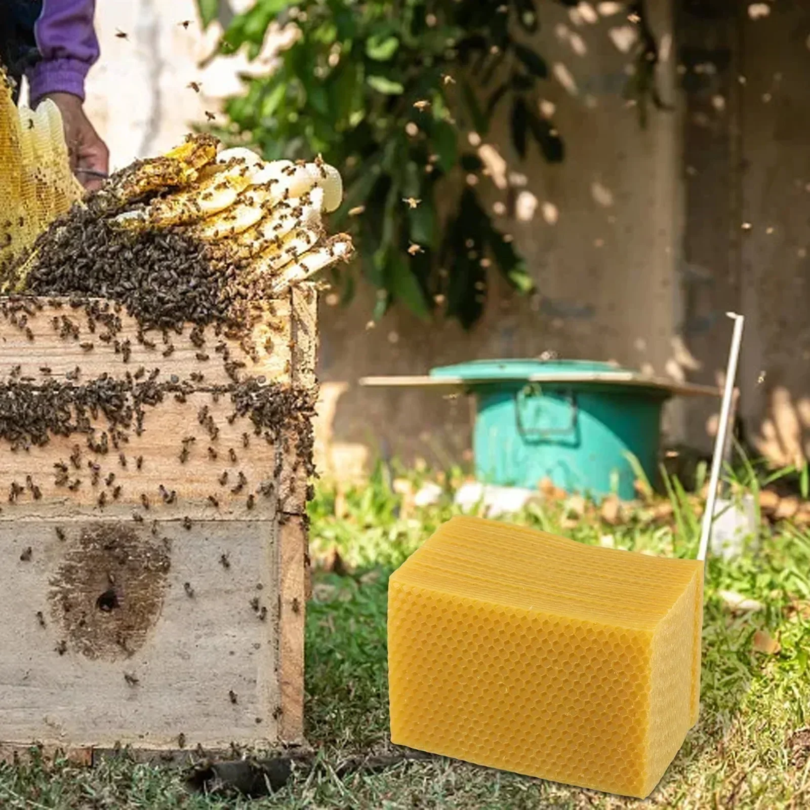 Beehive Supplies Beehive Found - Beeswax Sheet Roll 评论和价格